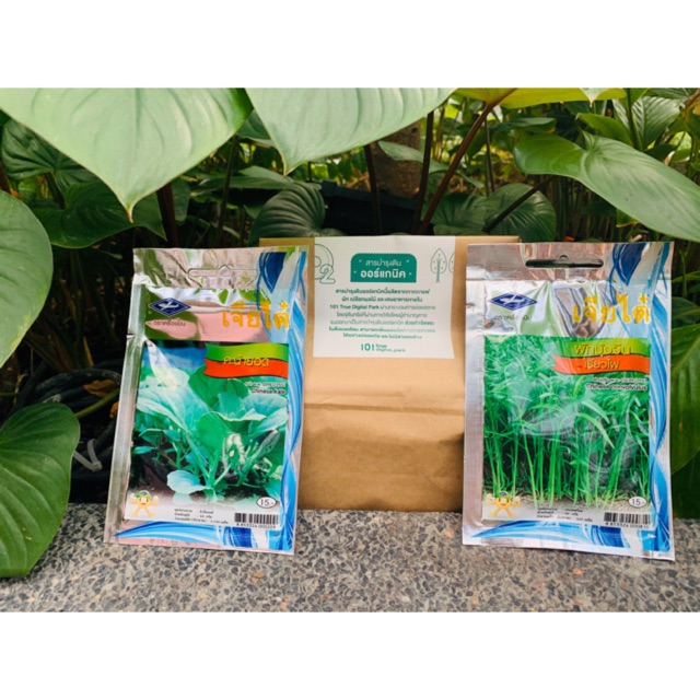 ผลิตภัณฑ์ เมล็ดพันธุ์ เจียไต๋ 📢 ซื้อครบ 10 ถุง Free ปุ๊ย Oklin