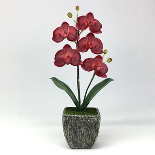 OrientalFineArt กระถางกล้วยไม้ปลอม phalaenopsis สวยเหมือนของจริง สำหรับประดับตกแต่งบ้าน(AM-12-B F25)