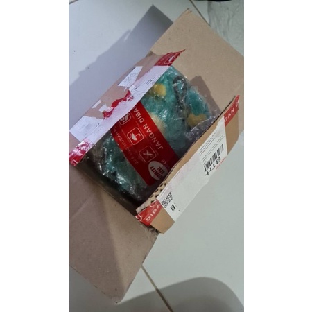 Truz bc yedee marlina (แพ็คเกจกาตูเกอร์)