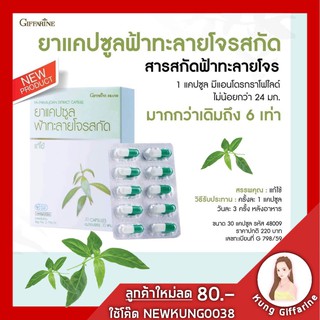 พร้อมส่ง ฟ้าทะลายโจร สกัด ชนิดแคปซูล กิฟฟารีน giffarine ยาแผนโบราณ/ยาสามัญประจำบ้าน เข้มข้น6 เท่า