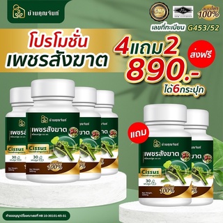 ส่งฟรี แพ๊ค 6🔥บ้านคุณจันท์ เพชรสังฆาต สมุนไพรเพชรสังฆาต สมุนไพรริดสีดวง บรรเทาริดสีดวงทวารหนัก ยุบไว หายเร็ว ลดอักเสบ