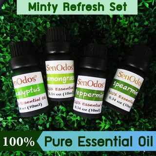 SenOdos น้ำมันหอมระ ชุดกลิ่นมินต์ Essential Oil Minty Set10ml x 4 กลิ่น