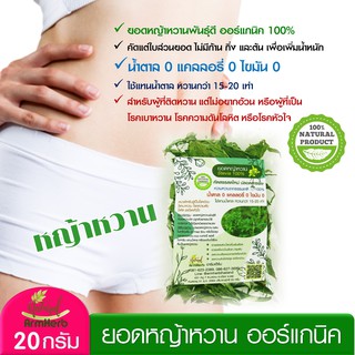 ArmHerb ใบหญ้าหวาน ออร์แกนิค เกรดพรีเมี่ยม Stevia 100% ใช้แทนน้ำตาล ลดน้ำหนัก ผู้ป่วยเบาหวาน ขนาด 20 กรัม