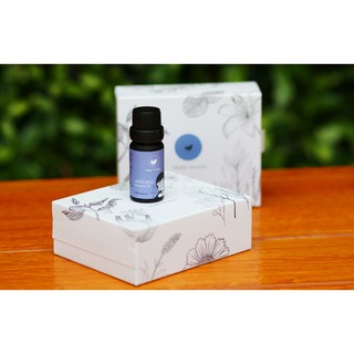 น้ำมันหอมระเหยกลิ่น Anti Flu Essential Oil Blend 10 ml พร้อมชุดดอกไม้หรือชุดหินกระจายกลิ่น