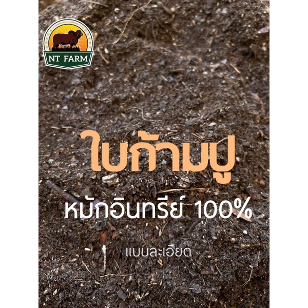 ใบก้ามปูหมัก แท้ 100% ผสมไตรโคเดอร์มา ร่อนละเอียด/หยาบ ขนาด 1kg | NT FARM