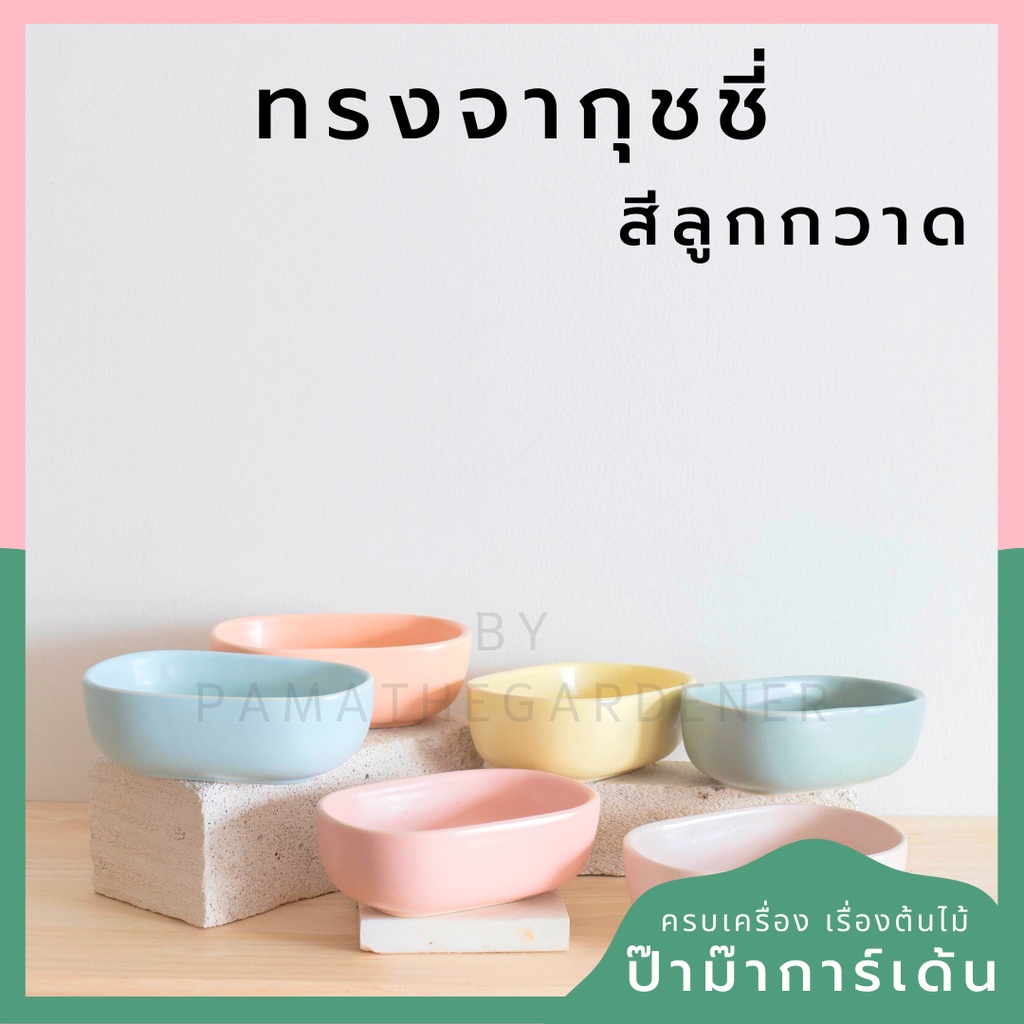 มุมมอง 3