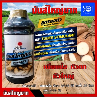 ฮอร์โมนสำหรับพืชลงหัว ขนาด 1 ลิตร "มันส์ใหญ่มาก" เร่งหัวใหญ่ สำหรับมันและพืชช่วงลงหัว ปุ๋ยน้ำระเบิดหัว