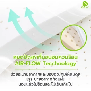 ยอดฮิต รุ่น Firm ที่นอน ยางพาราแท้ ท็อปเปอร์ Topper (แถมฟรี ปลอกที่นอน ซิป 1ชั้น)