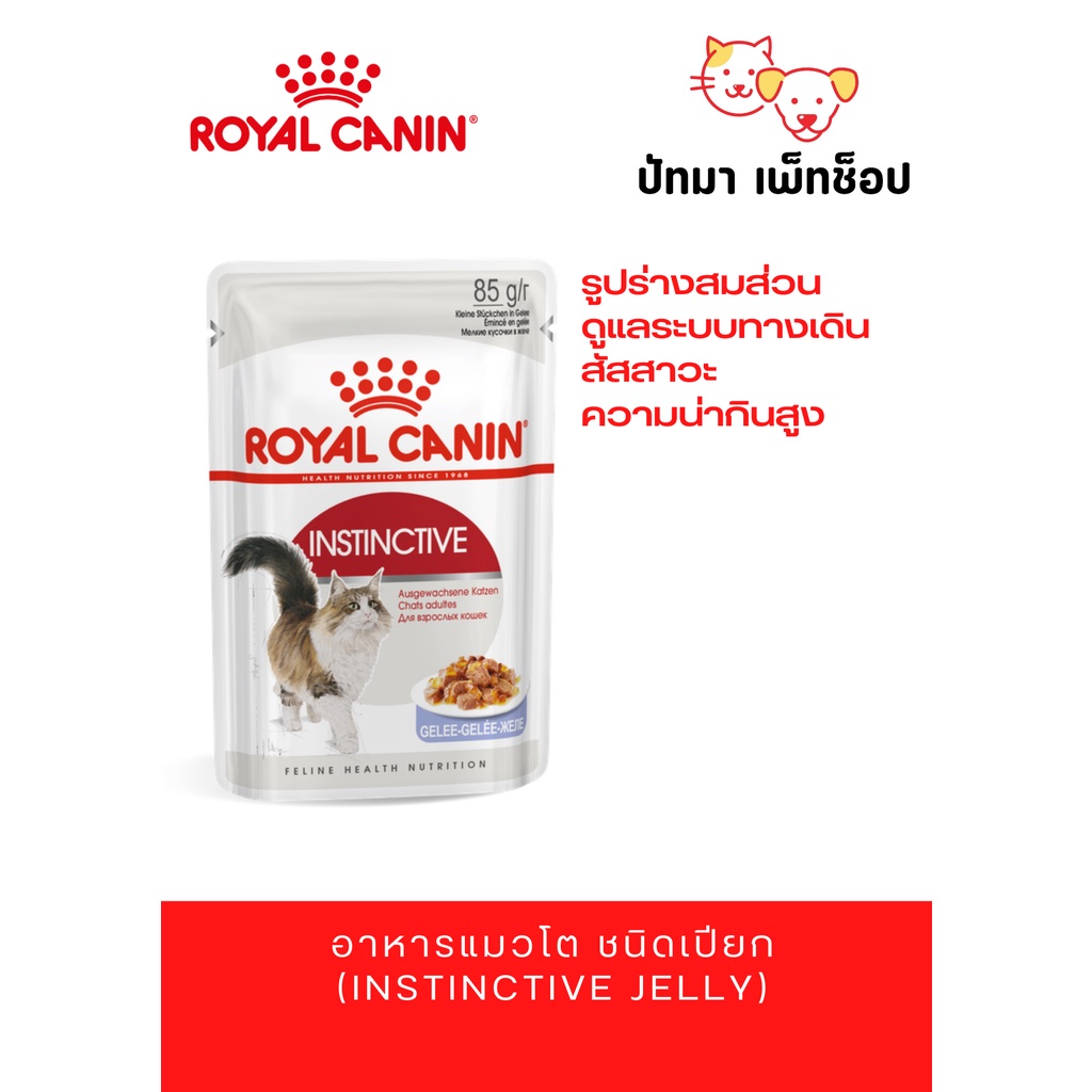 ＃RoyalCanin​ อาหาร​เปียก​ สูตรแมวโตทั่วไป