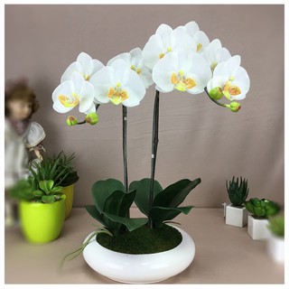 OrientalFineArt  ดอกกล้วยไม้ประดิษฐ์ Phalaenopsis orchid plant pot arrangement(ARMC-57049-W F9)