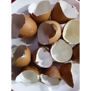 เปลือกไข่ตากแห้ง , Dry eggshells