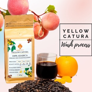 Nancoff yellow catura wash process เมล็ดกาแฟคั่วอาราบิก้า