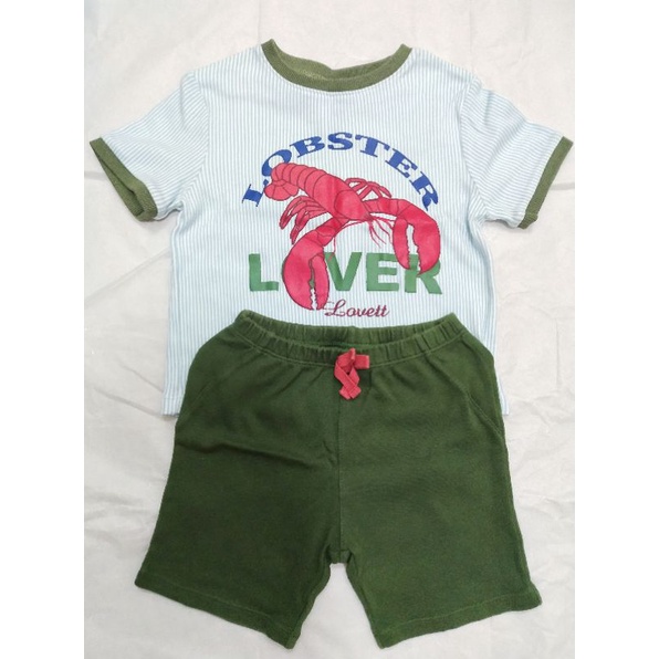 babylovett used with defect size 2T