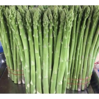 เมล็ดพันธ์ุ หน่อไม้ฝรั่งพันธุ์บร็อคอินพรูฟ 500เมล็ด(Asparagus Brock's Improved) หน่อไม้ฝรั่ง