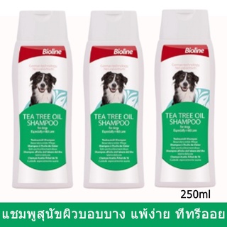 แชมพูสุนัข คัน แพ้ Bioline สูตร ทีทรี ออย สำหรับผิวบอบบาง แพ้ง่าย 250มล. (3 ขวด) Bioline Tea Tree Oil Dog Shampoo 250ml.