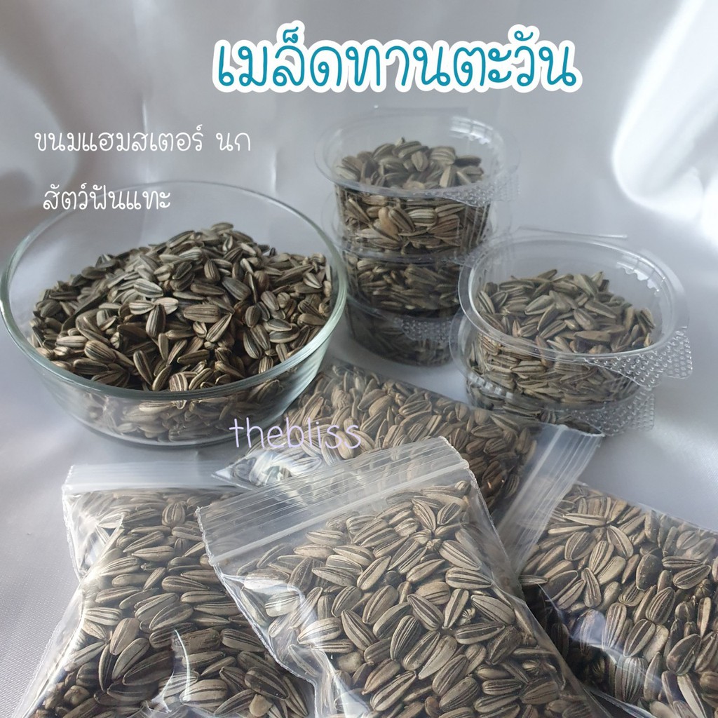 [thebliss] เมล็ดทานตะวัน ขนมแฮมสเตอร์ นก สัตว์ฟันแทะ