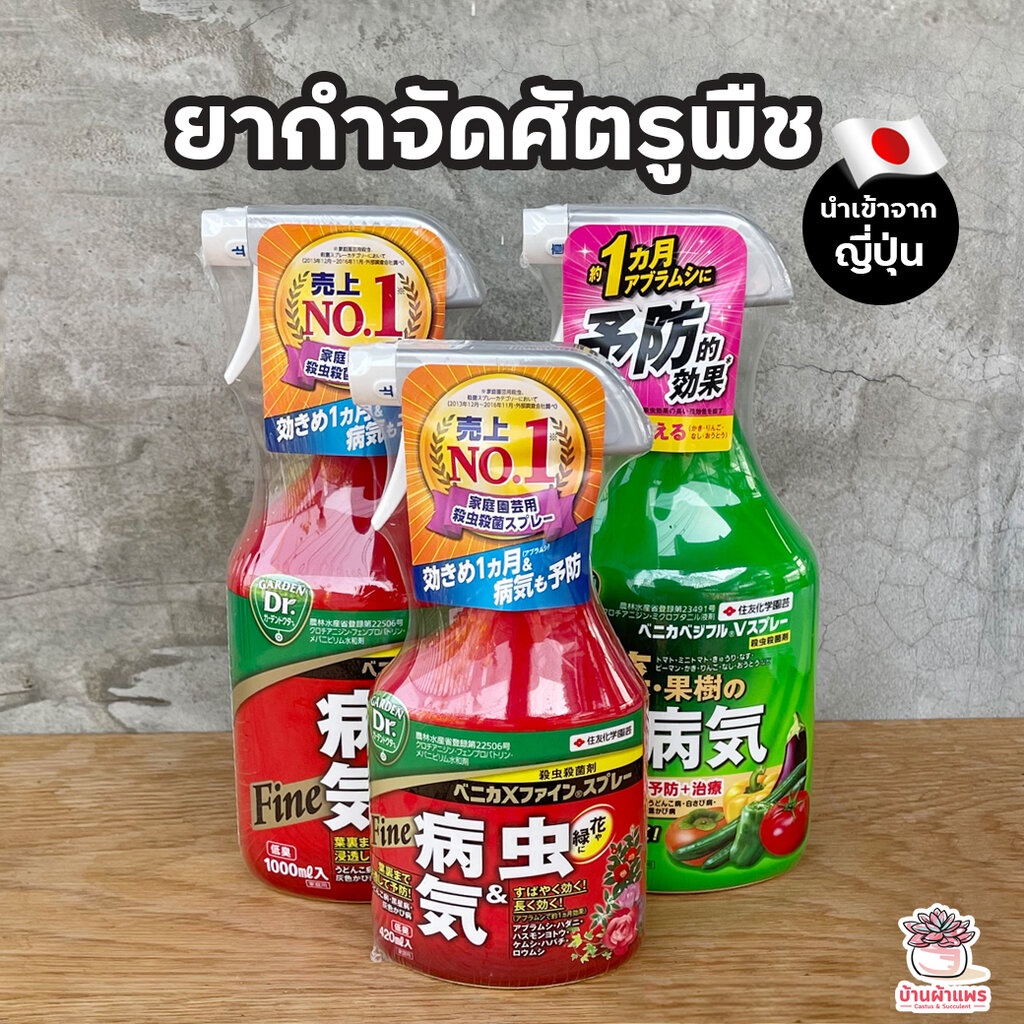 My Image 9