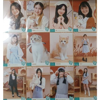 [ใบเศษ] - CGM48 - Photoset : Cat idol