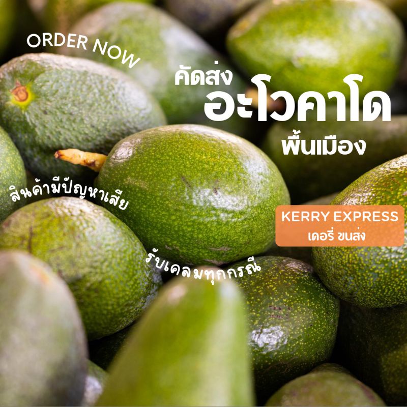 อะโวคาโดพื้นเมืองรวมคละ 1 กก.(5-7ลูก) ขั้นต่ำ 2 ชิ้น.
