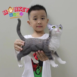 Monkey Toys - โมเดลสัตว์ แมวไทย เทา แบบนิ่ม ขนาด 26.00 CM (จากหาดใหญ่)