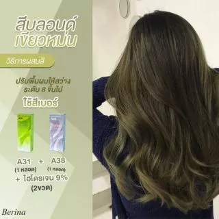 เบอริน่า ครีมย้อมผม สีสวย ติดทนA1-20