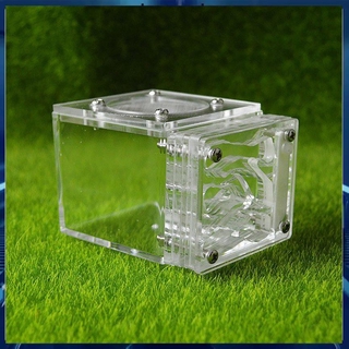 *พร้อมส่ง*Mini Ant Nest Acrylic Anthill Nest Transparent Ant Farm Ants Villa House Gifts