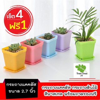 Local ฟาร์มสุข กระถางต้นไม้ 2.7 นิ้ว กระถางแคคตัส กระถางพลาสติก สีพาสเทล พร้อมถาดรอง เซ็ต 4 ฟรี 1