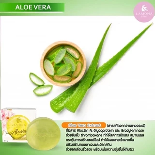🧼สบู่ลาโมน่าของแท้ 100%🧼 ส่งฟรี ‼️ ลดสิวฝ้ากระเพิ่มความกระจ่างใส✨✨📌 ปลอดภัยมีเลขที่จดแจ้ง รับจากบริษัทแบรนด์โดยตรง