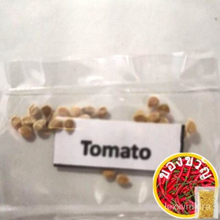 Tomato seeds (kamatis seeds)男装/鲜花/香菜/种子/生菜/玫瑰/儿童/seeds/文胸/上衣/ BSM9