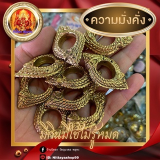 บ่วงนาคบาศก์ บ่วงพญานาค เนื้องทองเหลือง ขนาด 5cmX3cm