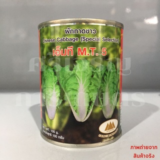 เมล็ดผักกาดขาว เอ็มที M.T. 5 100g ภูเขาทอง