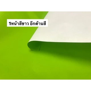กระดาษโปสเตอร์สี 1หน้า ทำดอกไม้ กระดาษสี 53x70cm แจ้งสีทางข้อความ (จำนวน 10แผ่น คละสี) | คลังกระดาษ