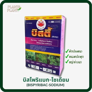 บิสตี้ 100กรัม: บิสไพริแบก-โซเดียม (bispyribac-sodium20%) ฆ่าหญ้าในนาข้าว ยาฉีดหญ้าข้าวนก/หญ้านกสีชมพู ฉีดพร้อมกับยาคุม