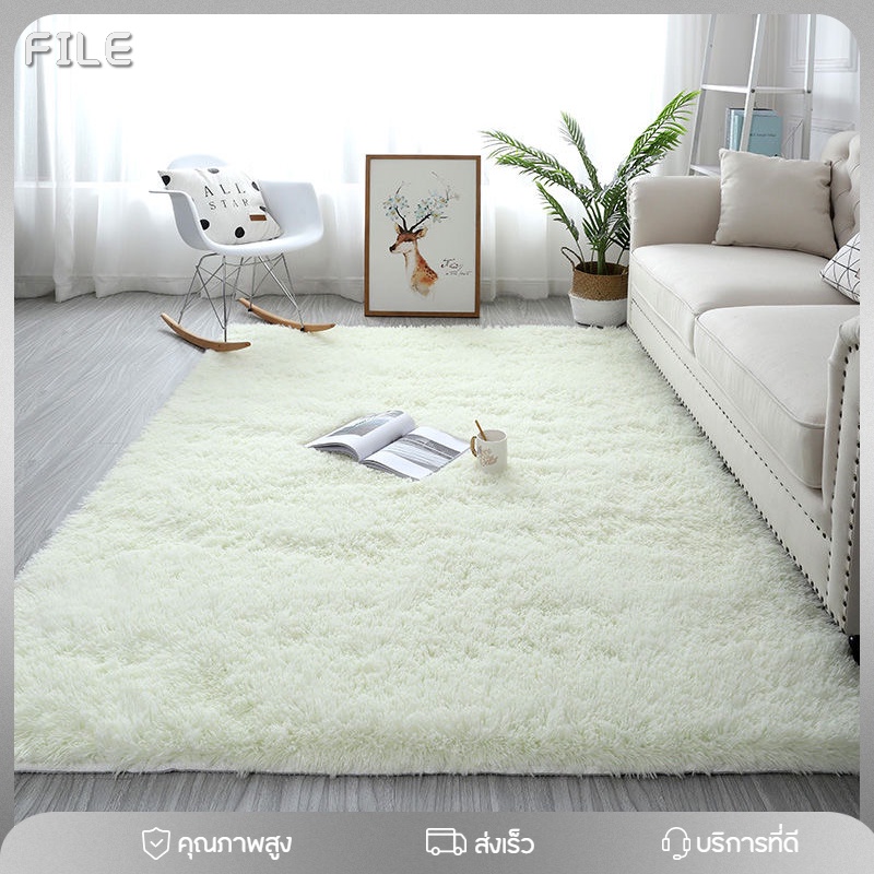 TL พรม พรมปูพื้น ผ้าปูพื้น ขนาด120x80cm/120x160cm พรมปูห้องรับแขก ห้องนอน พรมเช็ดเท้ พหรมใหญ่