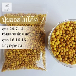 ปุ๋ยละลายช้า ออสโมโค้ท มัลติเทค ไม้ประดับ พืช บอนสี ผัก สูตร 16 16 16 เเบ่งขาย