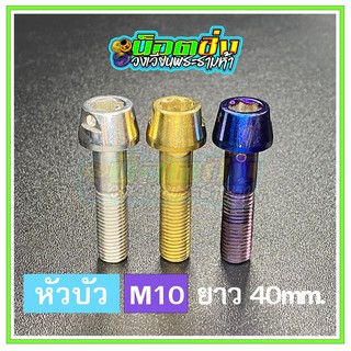 น็อตสแตนเลส หัวบัว ขนาดเกลียว m10 ยาว 40 mm.