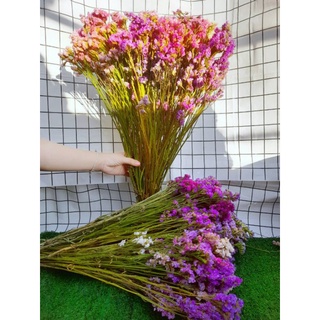 🌷สแตติสแห้ง กำใหญ่ 169 บาท ถูกที่สุด สแตติสรวมสี ราคาพิเศษ กำใหญ่มากก🌷🌷