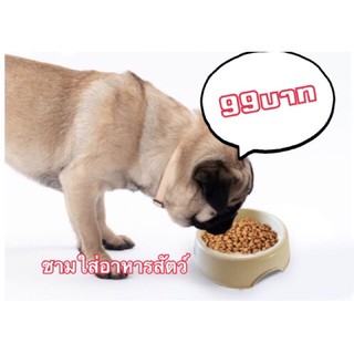 ชามพลาสติกสัตว์เลี้ยง PB002M