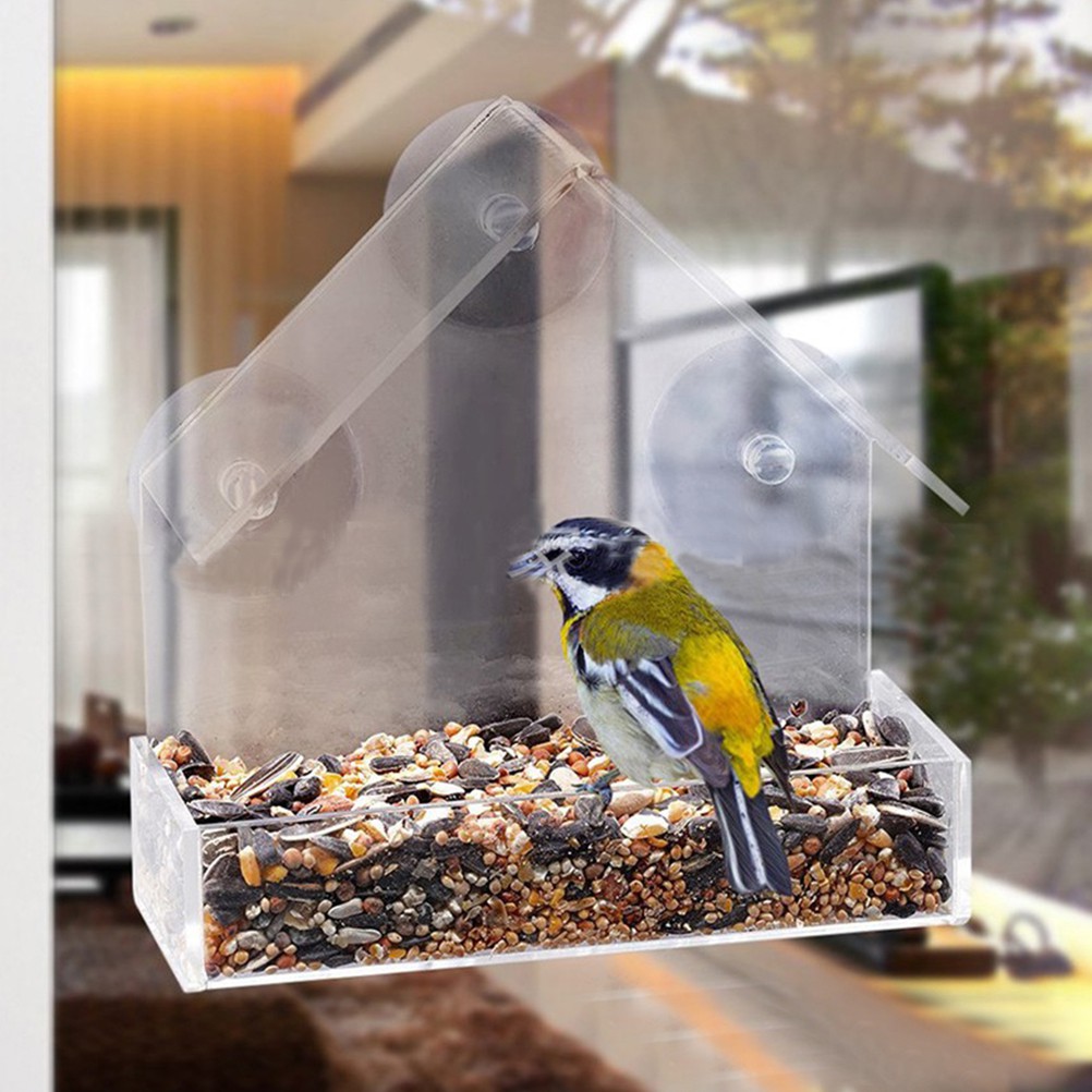1pcs Bird Feeder Utility Suction Cup Transparent Durable Bird
