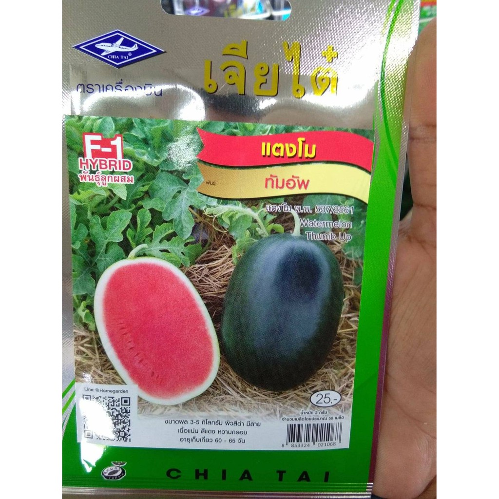 เมล็ดพันธุ์ แตงโม ทัมอัพ watermelon thumb up ขนาดผล 3-5 กิโลกรัม ผิวสีดำ มีลาย เนื้อแน่น สีแดง หวานกรอบ ดูแลน้อย