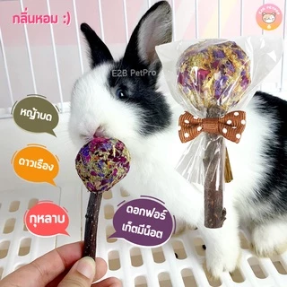 ของเล่นกระต่าย ของเล่นแฮมสเตอร์ แครอทขัดฟัน ไม้ลับฟันจากธรรมชาติ สะอาด ปลอดภัย แทะสนุกทั้งวัน B031