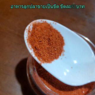 อาหารอนุบาลลูกสัตว์น้ำ โปรตีนสูง45%+ ขายเป็นขีด(100g.)  ขีดละ80บาท