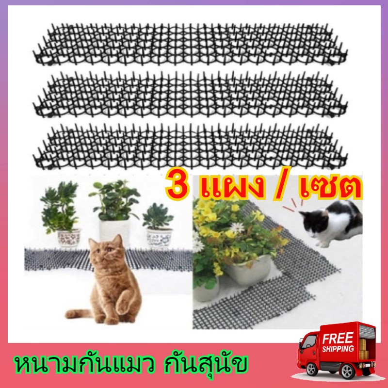 Anti Cat หนามกันแมว 3 ชิ้น/เซต หนามแมว ที่ไล่แมว ที่กันแมว แปรงไล่แมว หนามไล่แมว  ไล่แมว แผงกันแมว แผงไล่แมว กันแมวเดิน | Shopee Thailand