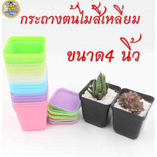 🌵พร้อมส่ง 🌵กระถางต้นไม้ **พร้อมถาดรอง** ขนาด 10X10 ซม. 4 นิ้ว