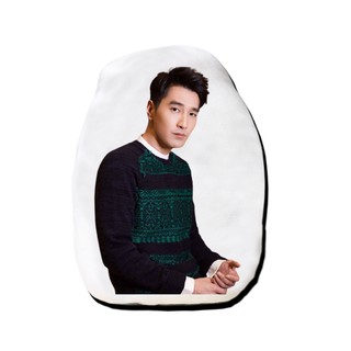 หมอนไดคัท สั่งทำ ตุ๊กตา ตุ๊กตาหน้าเหมือน หมอนตุ๊กตา เจ้าโย่วถิง Mark Chao เยี่ยหัว สามชาติสามภพป่าท้อสิบหลี่