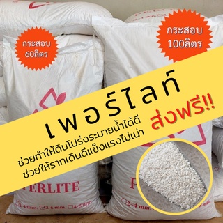 เพอร์ไลท์ [ส่งฟรี] กระสอบ 60 และ 100 ลิตร  วัสดุปลูกไม้ด่าง แคคตัส เพิ่มความโปร่งดินรากเดินดีแข็งแรงไม่เน่า