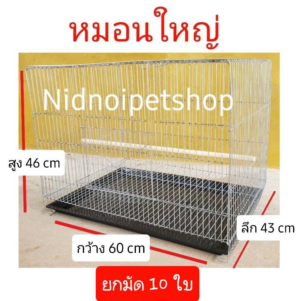 My Image 31