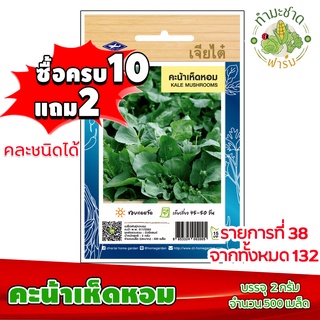 (ซื้อ10แถม2) เมล็ดพันธุ์ คะน้าเห็ดหอม kale mushrooms ประมาณ 500เมล็ด เจียไต๋ เมล็ดพันธุ์พืช เมล็ดพันธุ์ผัก เมล็ดผัก