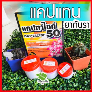 ยากันรา ยากันเชื้อราแคคตัส cactus ชนิดผง ยากันราแคปแทน (Captan - Captacide 50) ราในกระบองเพชร ไม้อวบน้ำ แคคตัส