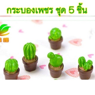 กระบองเพชร กระบองเพชรจิ๋ว โมเดลกระบองเพชร mini catus